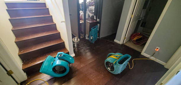 Best 24-hour water damage restoration  in Hightstown, NJ