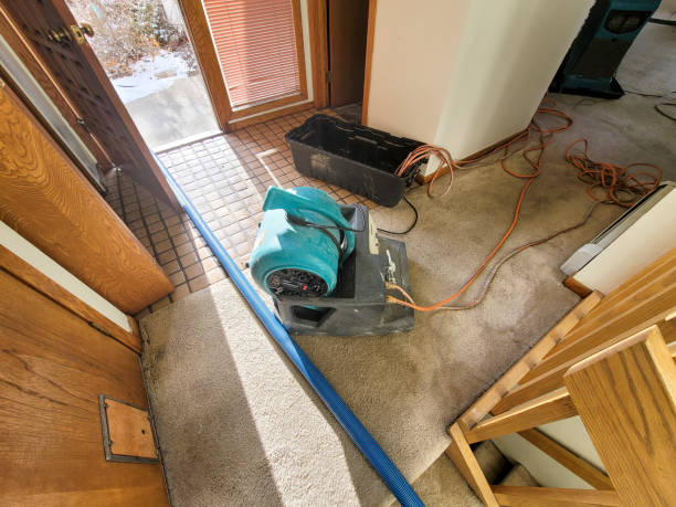 Best Water damage cleanup near me  in Hightstown, NJ