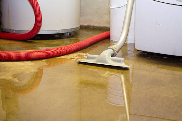 Best Carpet water damage restoration  in Hightstown, NJ