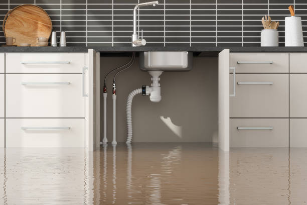 Best Water damage restoration specialists  in Hightstown, NJ