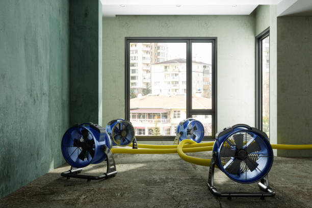 Best Water damage restoration process  in Hightstown, NJ